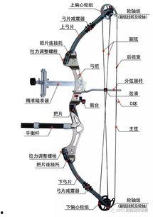 复合弓国产剧情介绍视频,箭雨纷飞，英雄崛起
