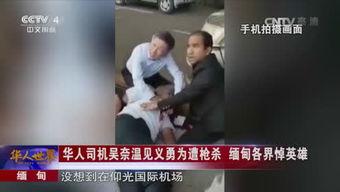 国产业余老太视频tv,揭秘退休生活新风尚