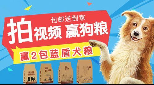 国产小众狗粮视频