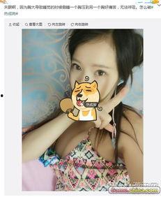 视频区图片区国产自拍,探索本土视觉艺术的新篇章