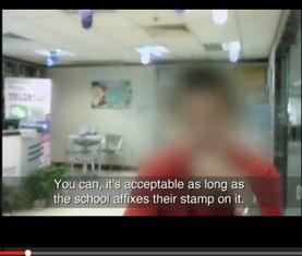 国产罕见4视频下载,下载背后的故事与启示