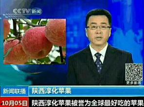 关于国产退网的视频大全,回顾经典，展望未来