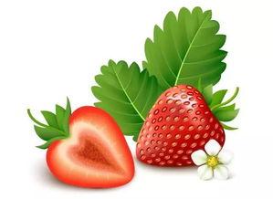 草莓视频色版国产,国产生态下的色版魅力探索