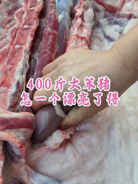 国产猪肉分割视频,视频揭秘传统与现代结合之美