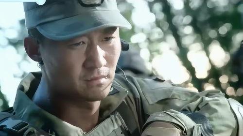 国产战狼大全视频,热血铸就民族脊梁，国产硬核巨制震撼来袭