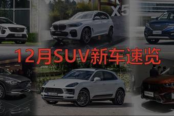 国产版车试驾视频,驾驭激情，尽享速度与激情之旅