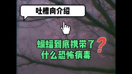 国产蝙蝠视频在线播放网站,在线播放网站带你领略独特魅力