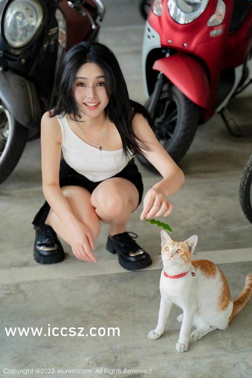 国产99线视频在线观看,揭秘中国军事装备的尖端力量